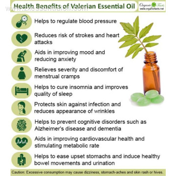 100% pure Natural valerian essential oil